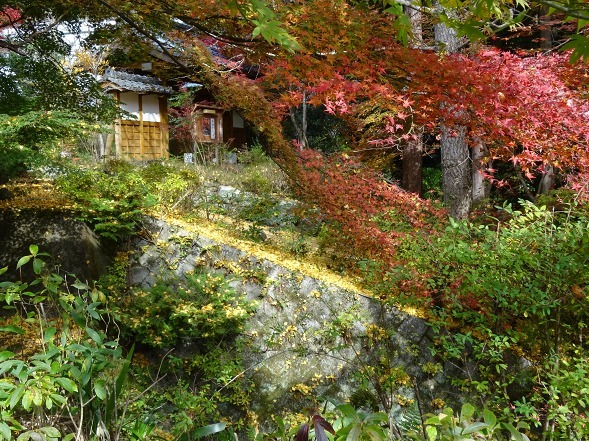神蔵寺の紅葉_b0299042_08540389.jpg