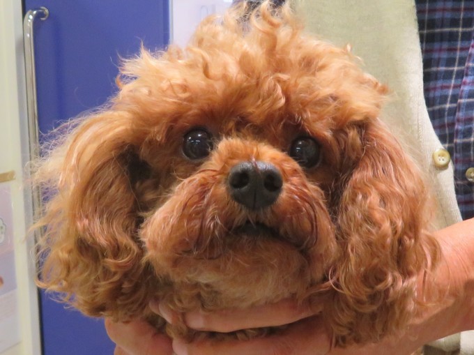 11月 20日の写真_c0174644_11455839.jpg