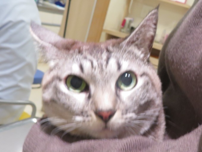 11月 20日の写真_c0174644_17453340.jpg