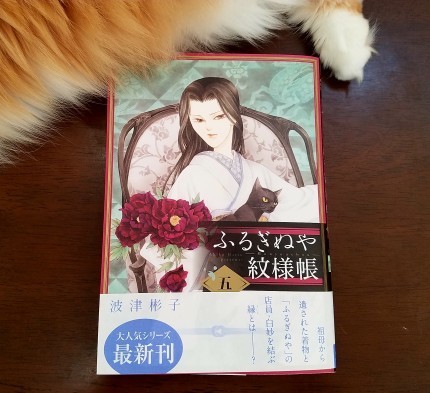 ふるぎぬや紋様帳 五 Dr Masumi Room