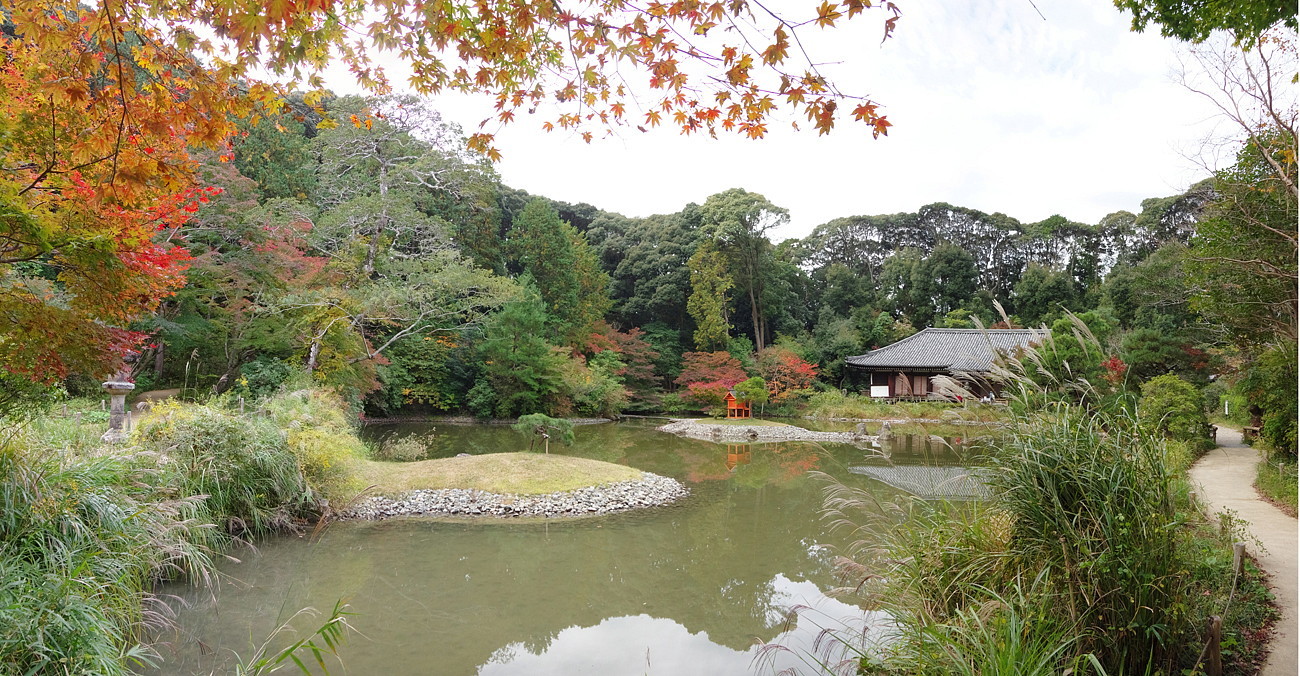 ２０２０．１１．３－６　京都・奈良　（４）浄瑠璃寺　　　２０２０．１１．２１ （記）_a0181059_20005205.jpg