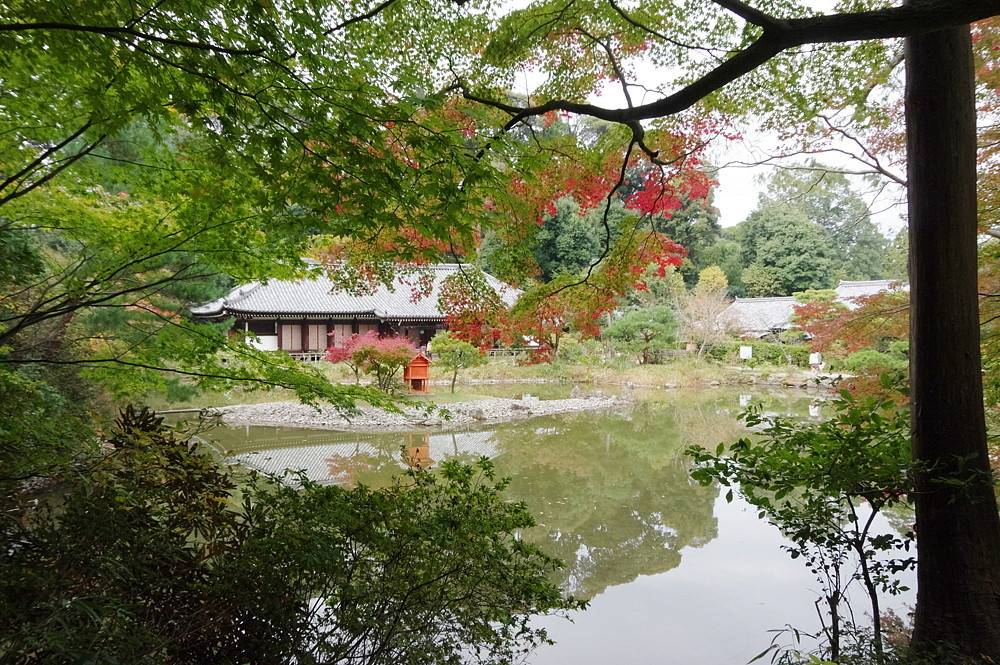 ２０２０．１１．３－６　京都・奈良　（４）浄瑠璃寺　　　２０２０．１１．２１ （記）_a0181059_20022769.jpg