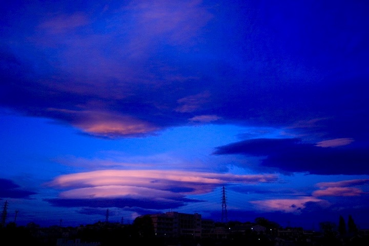 南風 。。。 ! !_a0248459_13393042.jpg