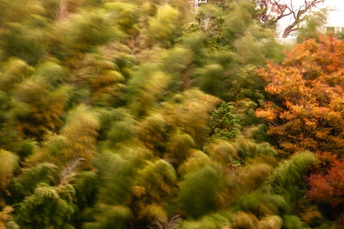 南風 。。。 ! !_a0248459_14004073.jpg