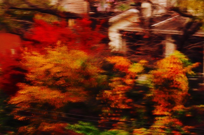 南風 。。。 ! !_a0248459_14010636.jpg