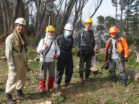 山桜の苗木生存率は約7割：11・19六国見山手入れ（上）_c0014967_15580038.jpg