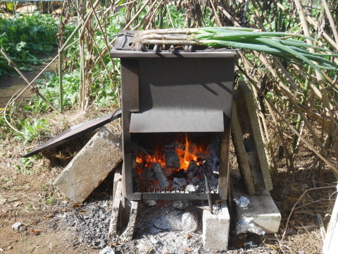 焼きネギの甘さに絶賛の嵐：11・19六国見山手入れ（下）_c0014967_16231009.jpg