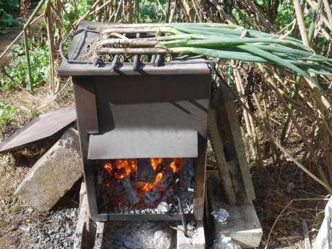 焼きネギの甘さに絶賛の嵐：11・19六国見山手入れ（下）_c0014967_16235134.jpg