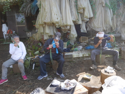 焼きネギの甘さに絶賛の嵐：11・19六国見山手入れ（下）_c0014967_16251883.jpg