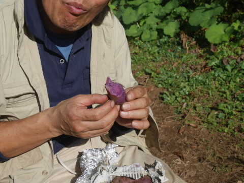 焼きネギの甘さに絶賛の嵐：11・19六国見山手入れ（下）_c0014967_16255952.jpg