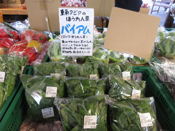 【可児市情報】道の駅 可児ッテ_c0152767_16313490.jpg