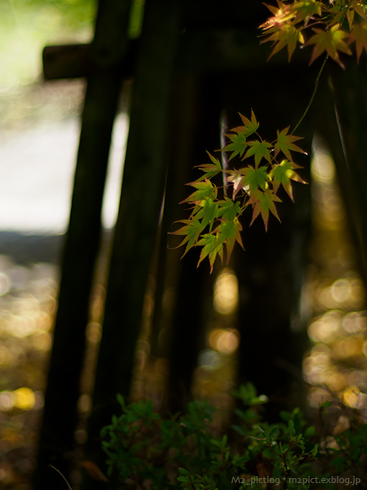 ノリノリに_e0097970_22124304.jpg