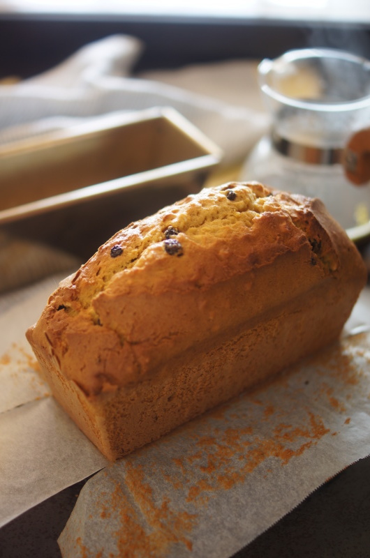 ホットパンプキン   ①どてかぼちゃ ホットパンプキン ①どてかぼちゃ