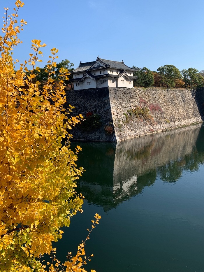 いい天気 講習会と餃子の王将 ハッチャンの 大阪大正区で沖縄三昧 いい天気 講習会と餃子の王将 ハッチャンの 大阪大正区で沖縄三昧