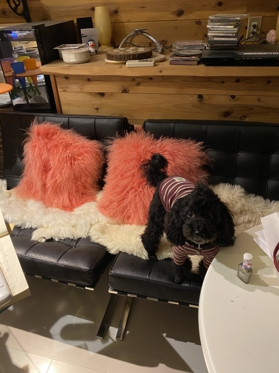 2020年11月20日　出会いが全て_b0098584_19410720.jpeg