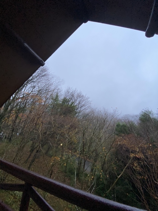 2020年11月20日　出会いが全て_b0098584_19420576.jpeg
