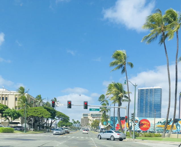 アメリカ市民権テストが難しくなる ハワイのお花屋さん ハワイ 時々湘南