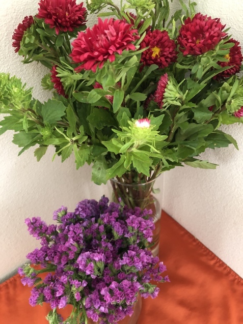 アメリカ市民権テストが難しくなる ハワイのお花屋さん ハワイ 時々湘南