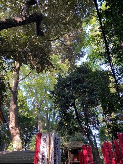 代々木八幡宮は都会のパワースポット☆_b0179298_11422840.jpg