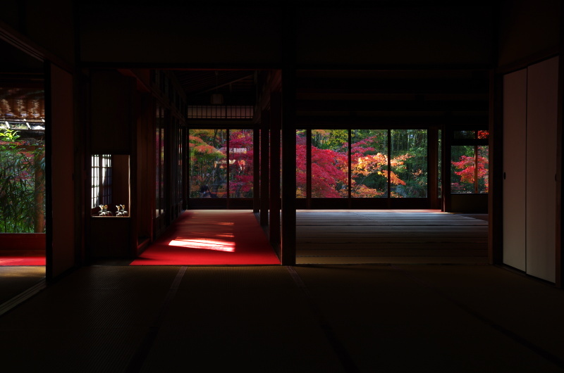 天授庵 紅葉_c0382798_14342937.jpg