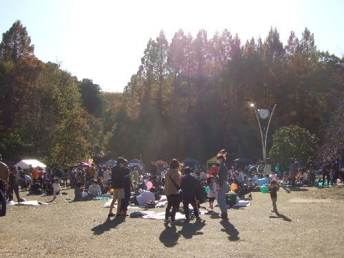 年11月21日 土 生田緑地 パソコン De あれこれ