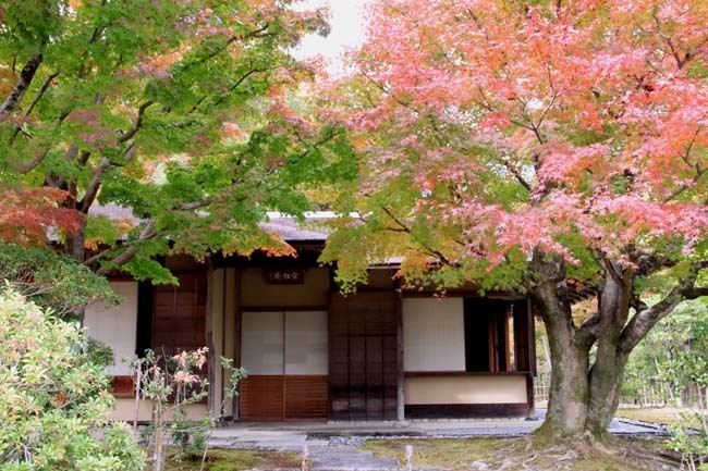 国立京都国際会館　庭園_e0048413_20121229.jpg