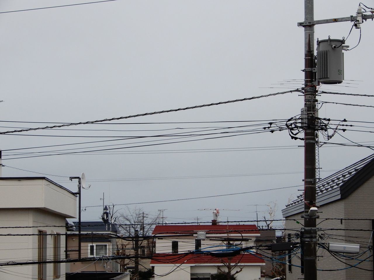 散って風流でも集まるとゴミ_c0025115_21564569.jpg
