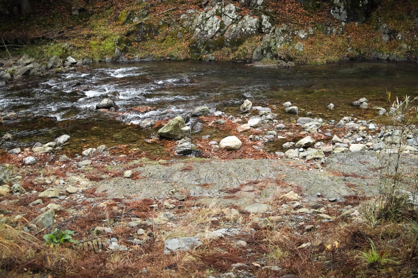 雨上がりで9℃・・・落ち葉紅葉　　　朽木小川・気象台より_c0044819_08255776.jpg