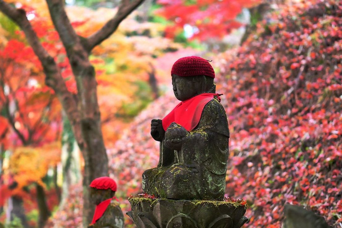 紅葉アラカルト・・・佐野市仙波「金蔵院」(2)_a0031821_13280528.jpg