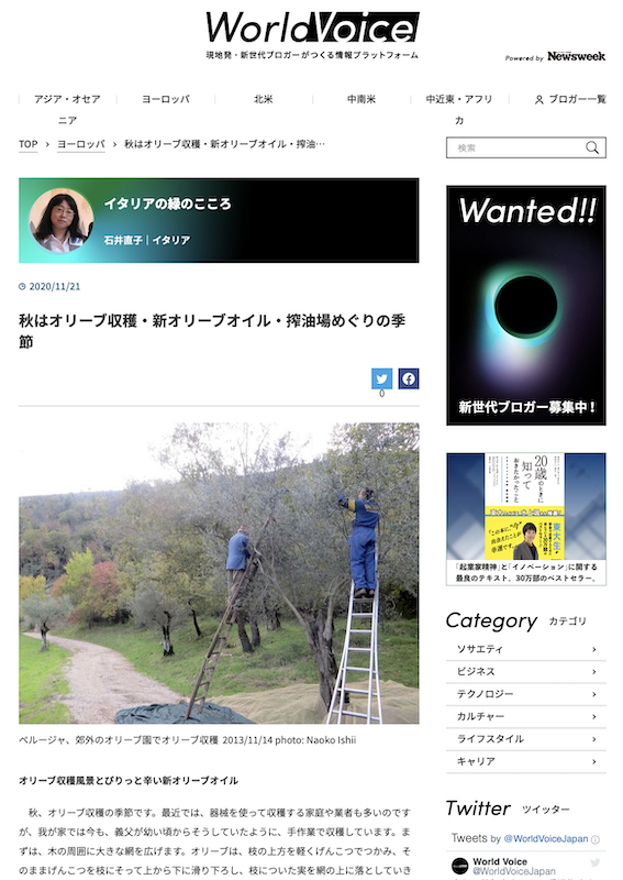 秋はオリーブ収穫・新オリーブオイル・搾油場めぐりの季節、World Voice 連載第8回_f0234936_07303787.png