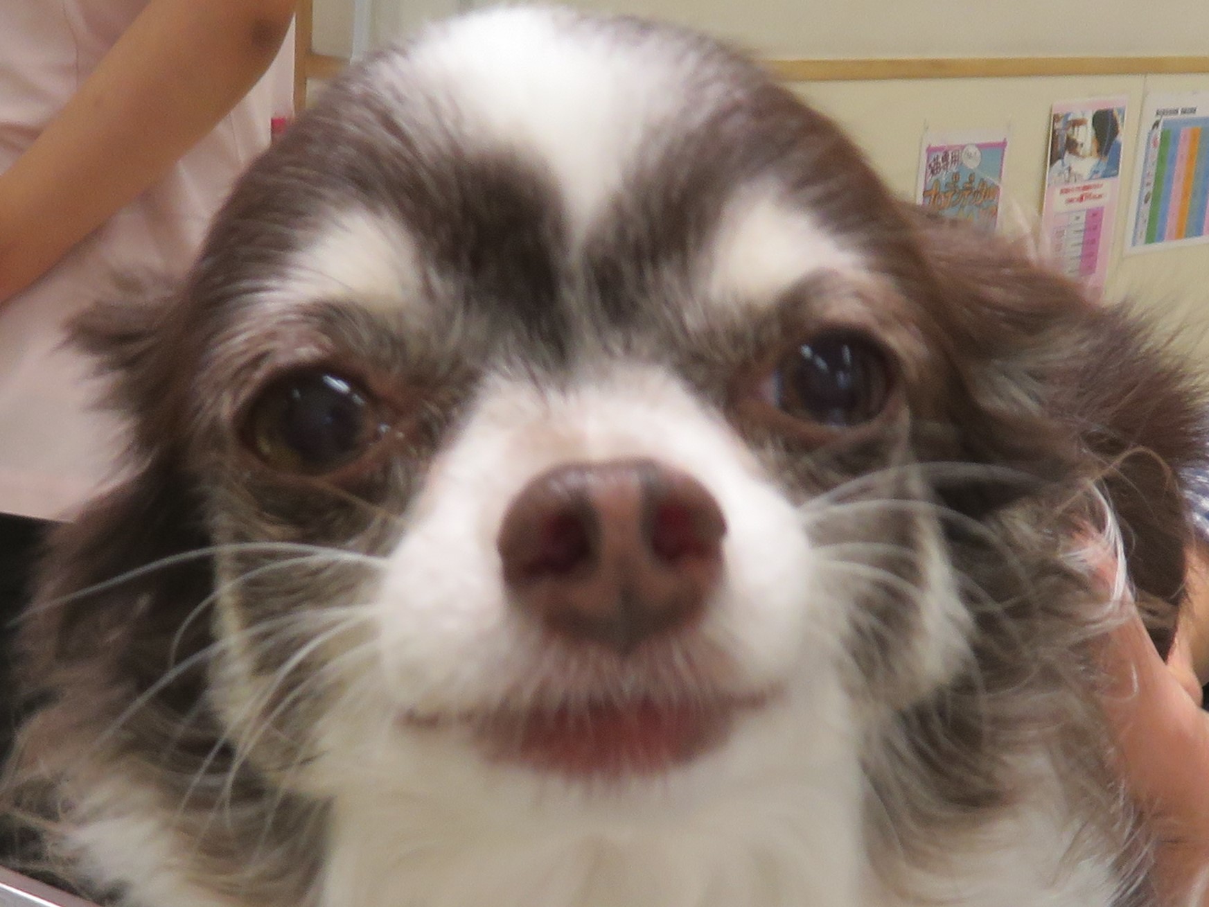 11 月 21 日の写真_c0174644_14333013.jpg