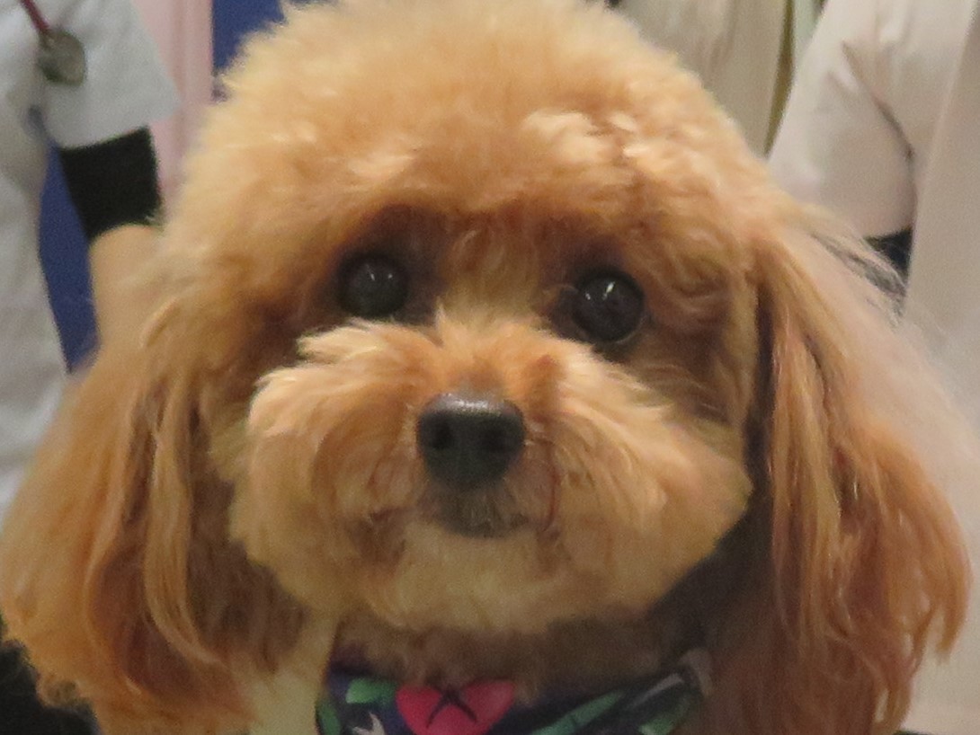 11 月 21 日の写真_c0174644_14342788.jpg
