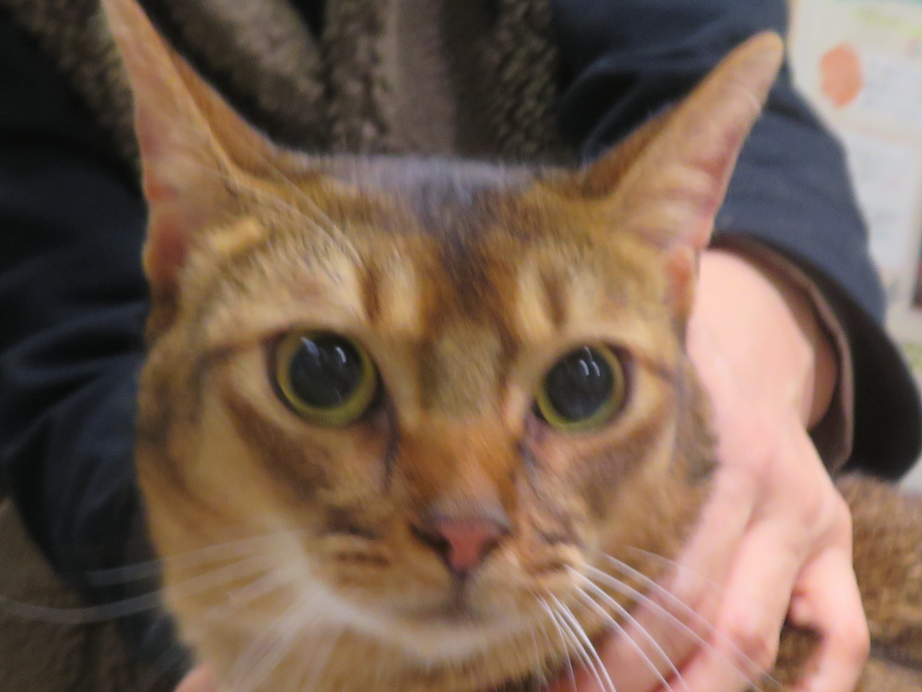 11 月 21 日の写真_c0174644_14354392.jpg