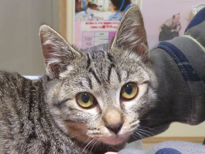 11 月 21 日の写真_c0174644_20040705.jpg