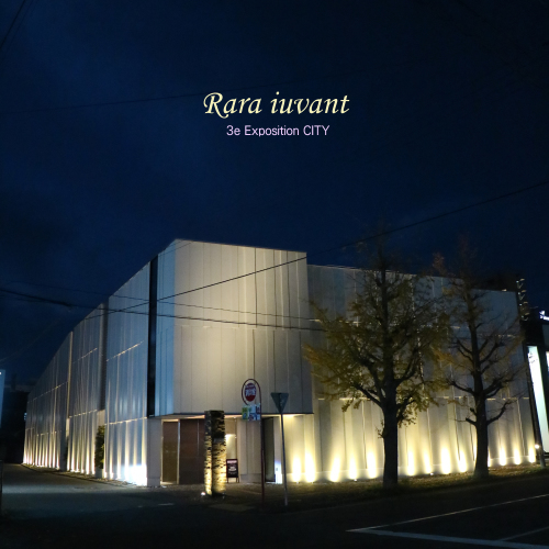 Rara iuvant 第3回作品展「CITY」_b0345658_22434789.jpg