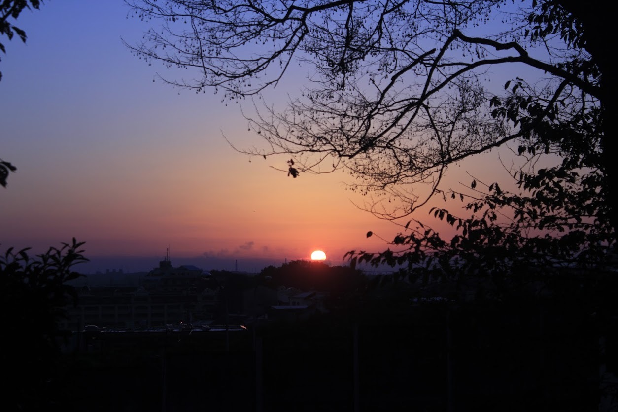 SGDs。。。 !!_a0248459_14184662.jpg
