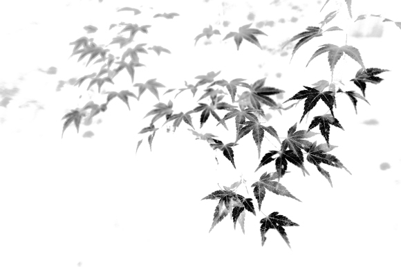 墨絵_a0141586_07140183.jpg