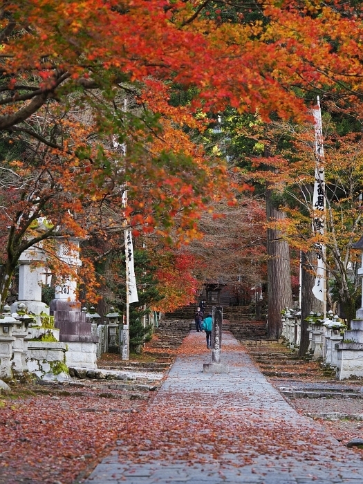 谷汲山華厳寺の紅葉　2020_e0075403_15375575.jpg