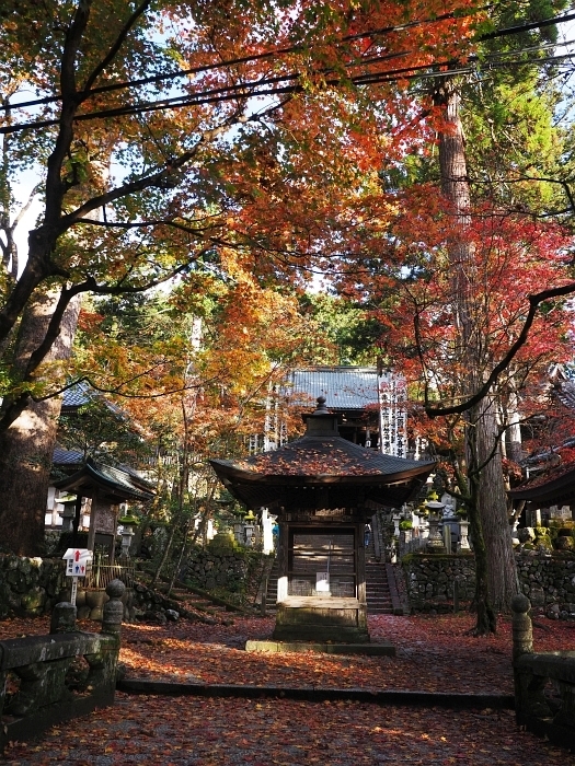 谷汲山華厳寺の紅葉　2020_e0075403_15380208.jpg