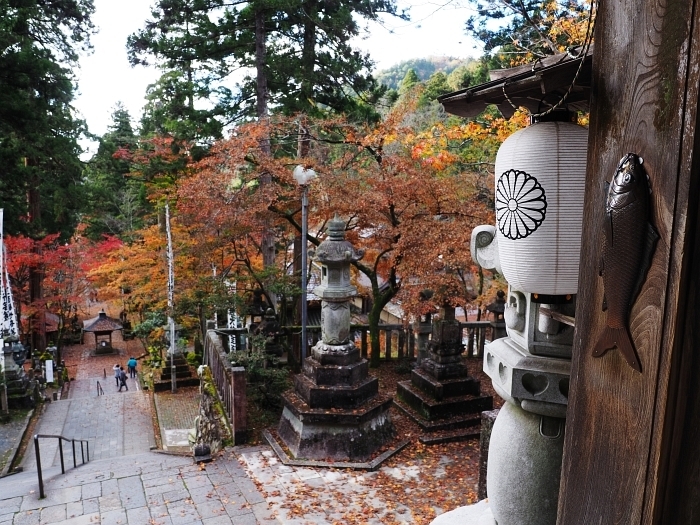 谷汲山華厳寺の紅葉　2020_e0075403_15381308.jpg