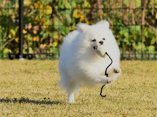 愛をこめて_d0360206_23472766.jpg