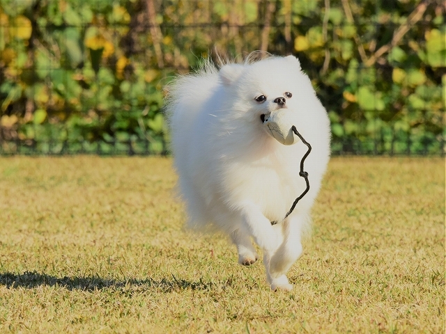 愛をこめて_d0360206_23473106.jpg