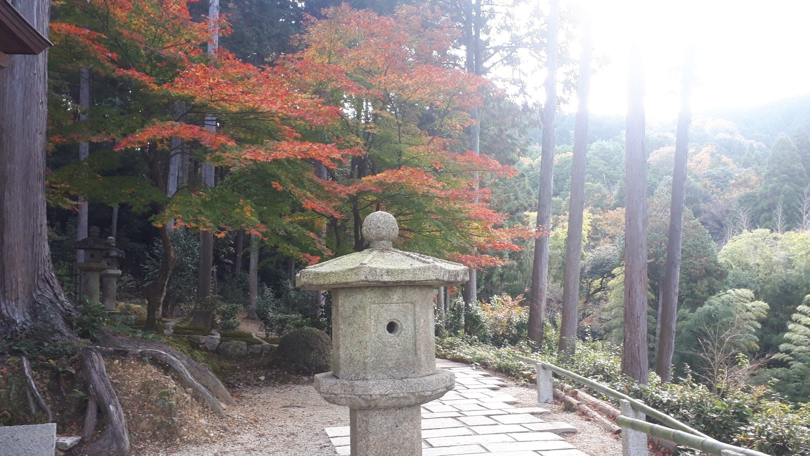 京都紅葉速報2020 圓光寺_d0106134_22572114.jpg