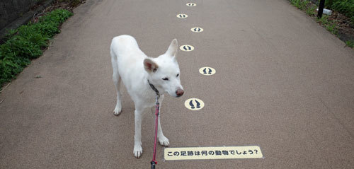 ふっとぷりんと_a0117039_19541539.jpg
