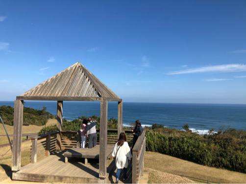 ひとりで海へドライブ 鹿島灘海浜公園へ パルシステムのある生活 ひとりで海へドライブ 鹿島灘海浜公園へ パルシステムのある生活