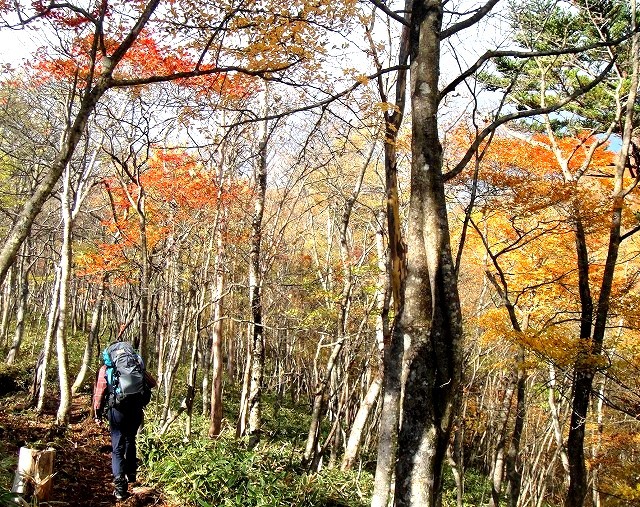 <2020年10月25~26日>同級生2人で挑戦した難関峰「日光・女峰山」登山_c0119160_10340316.jpg