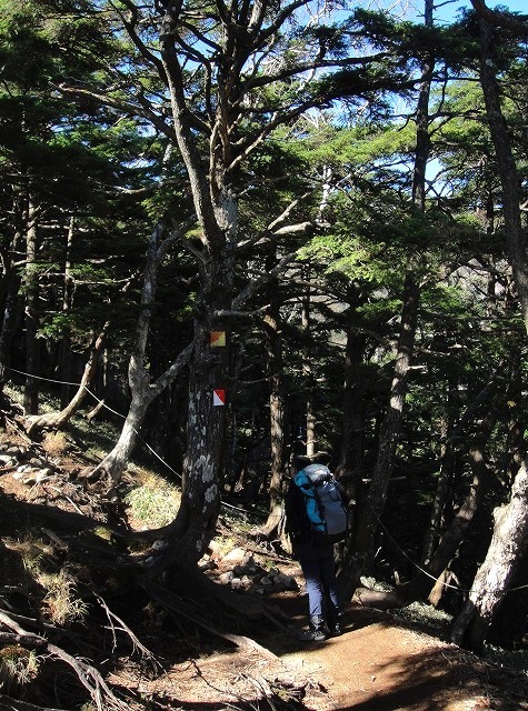 <2020年10月25~26日>同級生2人で挑戦した難関峰「日光・女峰山」登山_c0119160_11232777.jpg
