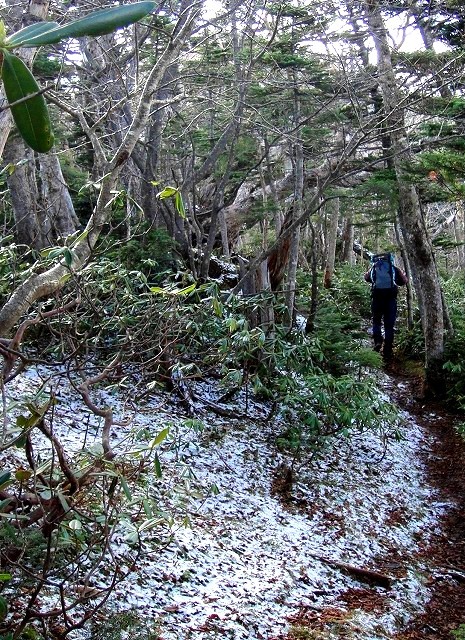 <2020年10月25~26日>同級生2人で挑戦した難関峰「日光・女峰山」登山_c0119160_12374302.jpg