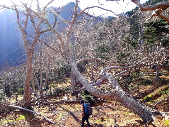 <2020年10月25~26日>同級生2人で挑戦した難関峰「日光・女峰山」登山_c0119160_13033736.jpg