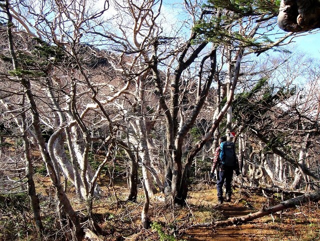<2020年10月25~26日>同級生2人で挑戦した難関峰「日光・女峰山」登山_c0119160_13040013.jpg
